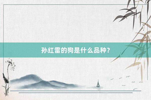 孙红雷的狗是什么品种？